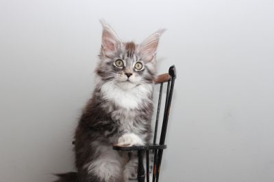 Coco Chanel